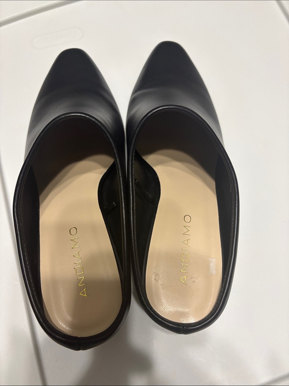 Andiamo Women's Black Pointed Toe Slip-On Mules